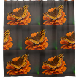 Butterfly On Orange Zinnia Mönster