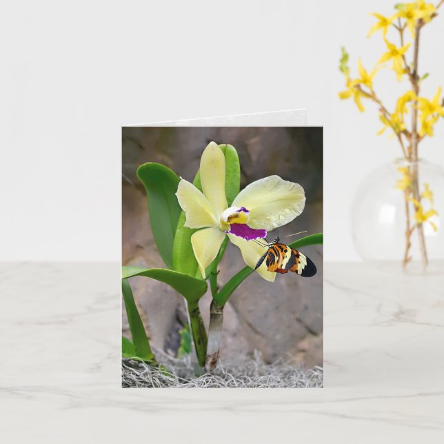 Butterfly On Orchid Blommar Notecard Kort (Gul blomma)