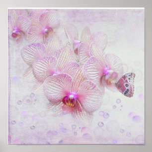 Butterfly On Orchid Blommars Poster