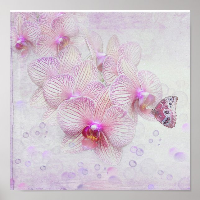 Butterfly On Orchid Blommars Poster (Framsidan)