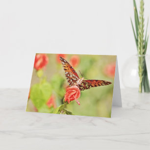 Butterfly on Turk's Cap Flower Note Card Kort