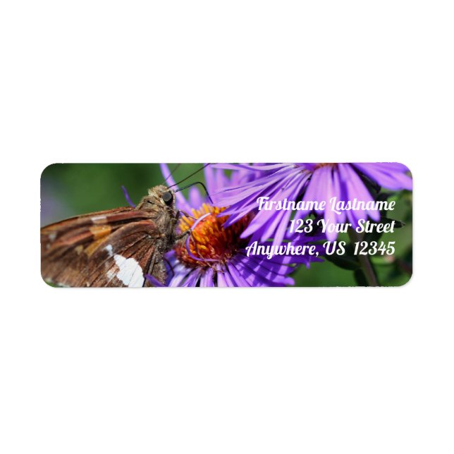 Butterfly On Vild Lila Aster Flower Adress Returadress Etikett (Framsidan)