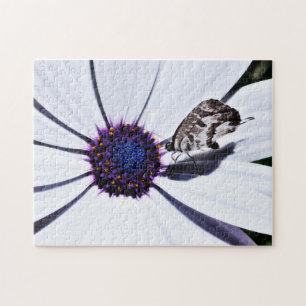 Butterfly on White Daisy Utmaningar Pussel