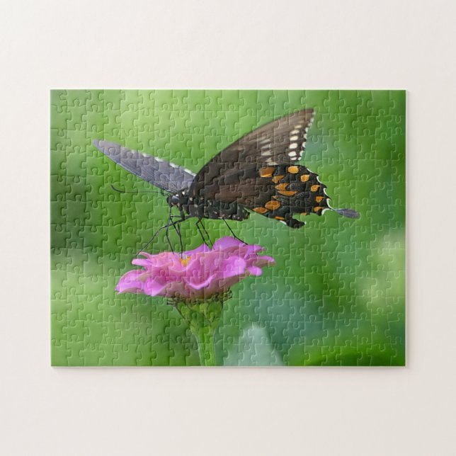 Butterfly On Zinnia Puzzle Pussel (Horisontell)