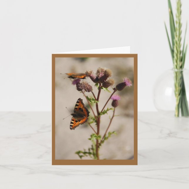 Butterfly på anteckningskort för växter (Framsida)