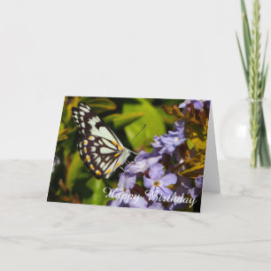 Butterfly på blankfödelsedagskort för blomman kort