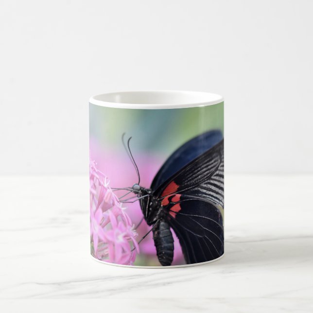 Butterfly på blomman kaffemugg (Center)