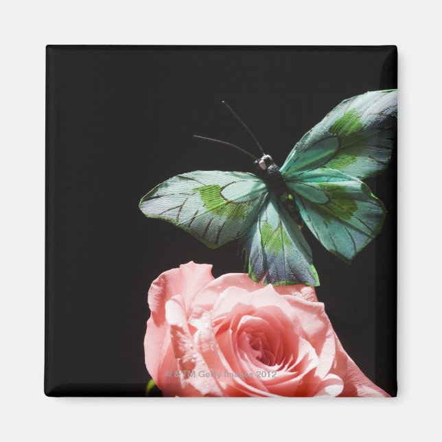 Butterfly på blomman magnet (Framsidan)