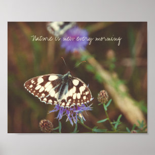 Butterfly på blomman poster