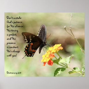 Butterfly på Blommigt w Verse från Deuteronomy 31: Poster