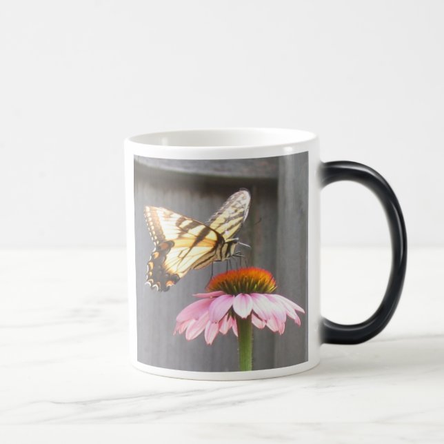 Butterfly på Cone-blomman Magisk Mugg (Höger)