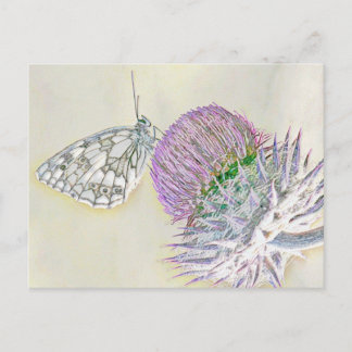 Butterfly på en röd blomma vykort