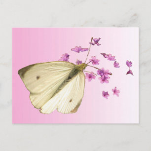 Butterfly på Flowers Vykort