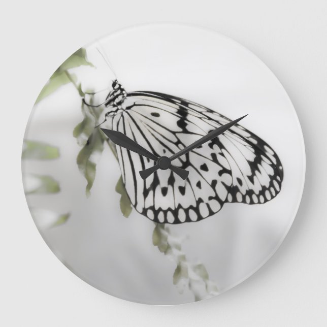 Butterfly på Gren Stor Klocka (Framsida)