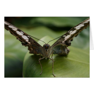 Butterfly på Grönten - Tom insida Hälsningskort