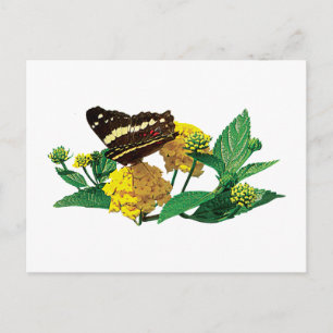 Butterfly på Gulten Lantana Vykort
