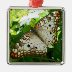 Butterfly på jasmin-fotografi för tropisk natur julgransprydnad metall