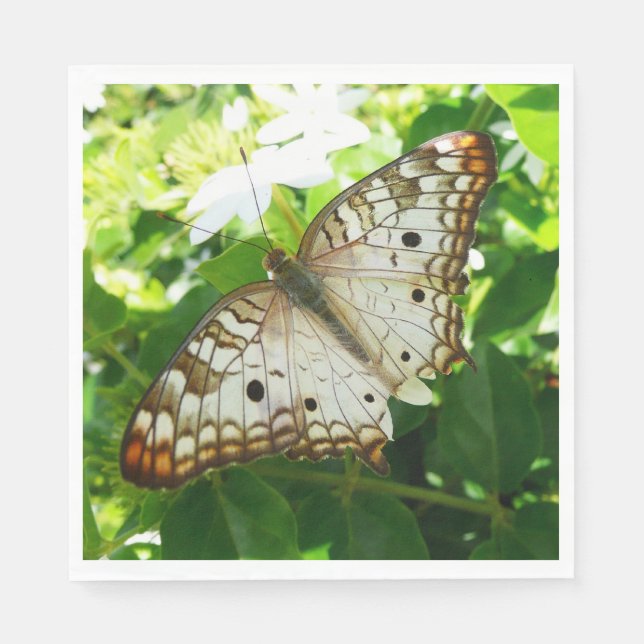 Butterfly på jasmin-fotografi för tropisk natur pappersservett (Framsidan)