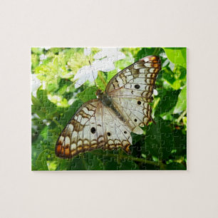 Butterfly på jasmin-fotografi för tropisk natur pussel
