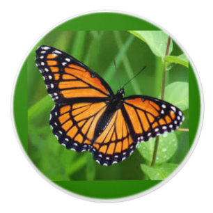 Butterfly på keramiska knoppar och fjäll