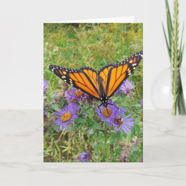 Butterfly på kornblommor Blank Kort (Framsida)