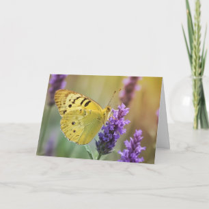 Butterfly på Lavender Kort