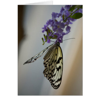 Butterfly på Lila blommor OBS Kort