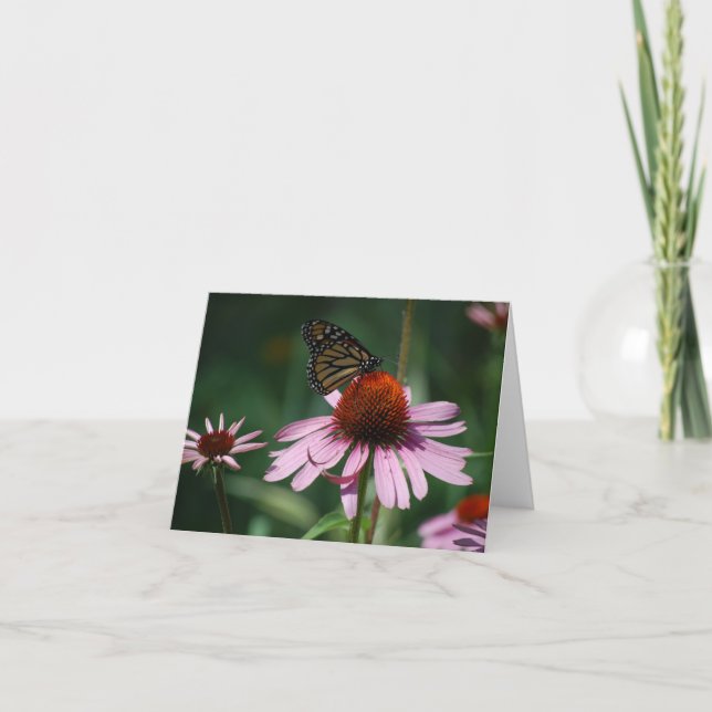 Butterfly på Lila Cone Flower Tack Kort (Framsida)