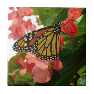 Butterfly på Red Flowers Ceramic Tile Kakelplatta