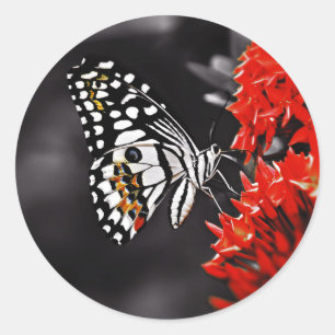 Butterfly på Röda blommor Runt Klistermärke