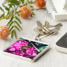 Butterfly på Rosa Flower |