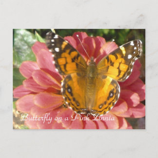 Butterfly på Rosa Zinnia Vykort