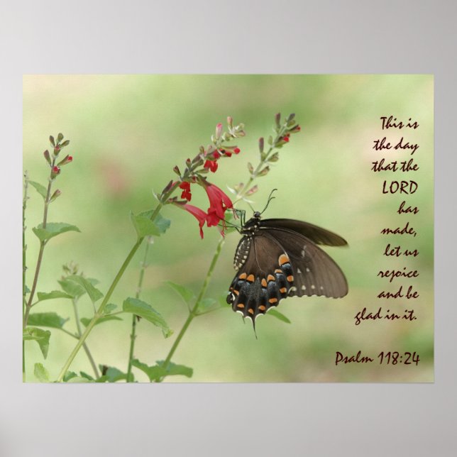 Butterfly på Wildblomma, med Psalm 118:24 Poster (Framsidan)