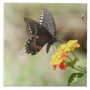 Butterfly på Wildblommor Kakelplatta