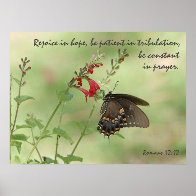 Butterfly på Wildblommor, Verse Romans 12:12 Poster (Framsidan)