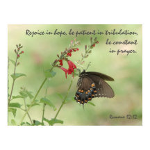 Butterfly på Wildblommor, Verse Romans 12:12