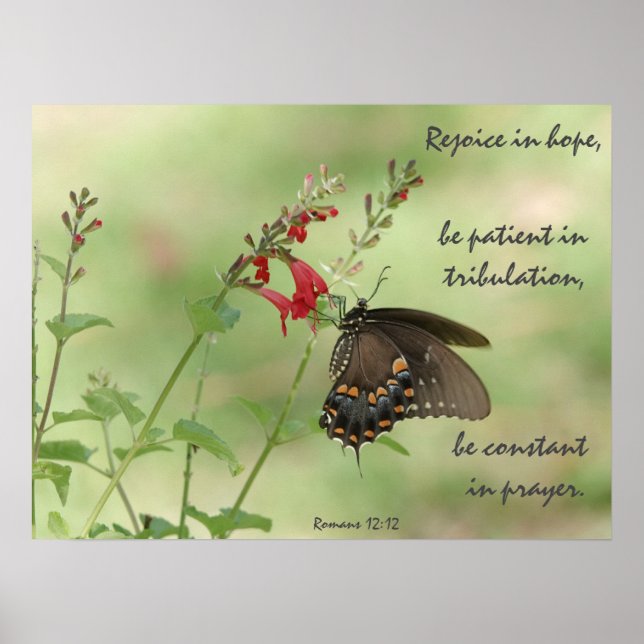 Butterfly på Wildblommor, Verse Romans 12:12 Poster (Framsidan)