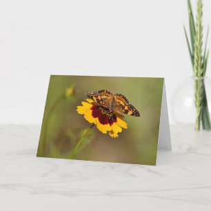 Butterfly på Wildblomstanteckningskort Kort