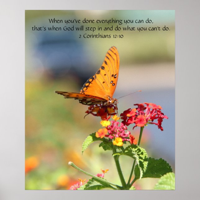 Butterfly på Wildfllowers, Scripture Verse Poster (Framsidan)
