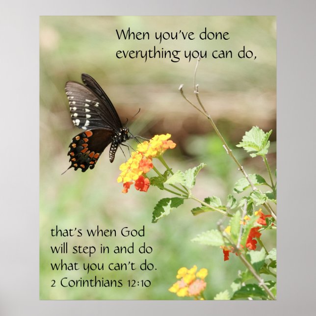 Butterfly på Wildfllowers, Scripture Verse Poster (Framsidan)