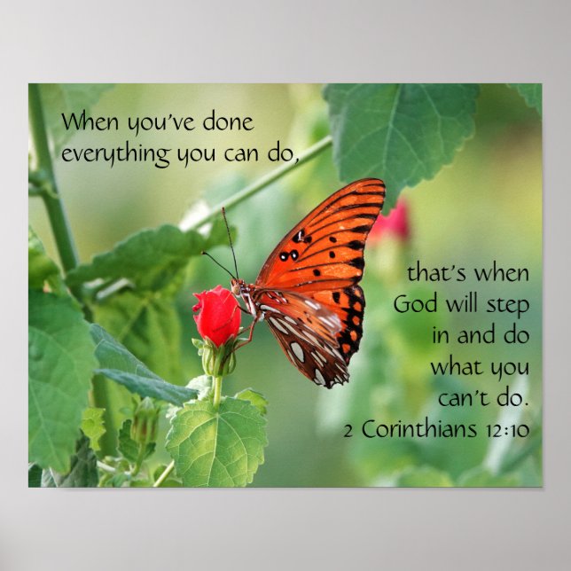 Butterfly på Wildfllowers, Scripture Verse Poster (Framsidan)
