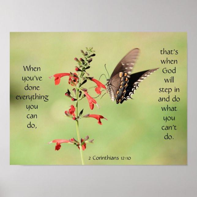 Butterfly på Wildfllowers, Scripture Verse Poster (Framsidan)