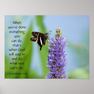 Butterfly på Wildfllowers, Scripture Verse Poster