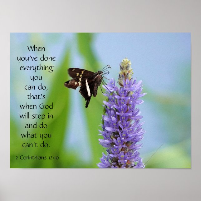 Butterfly på Wildfllowers, Scripture Verse Poster (Framsidan)