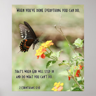 Butterfly på Wildfllowers, w Corinthians Verse Poster