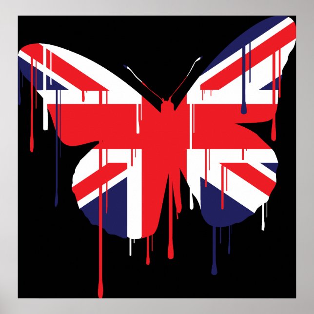 Butterfly Paint Springa Poster (Framsidan)