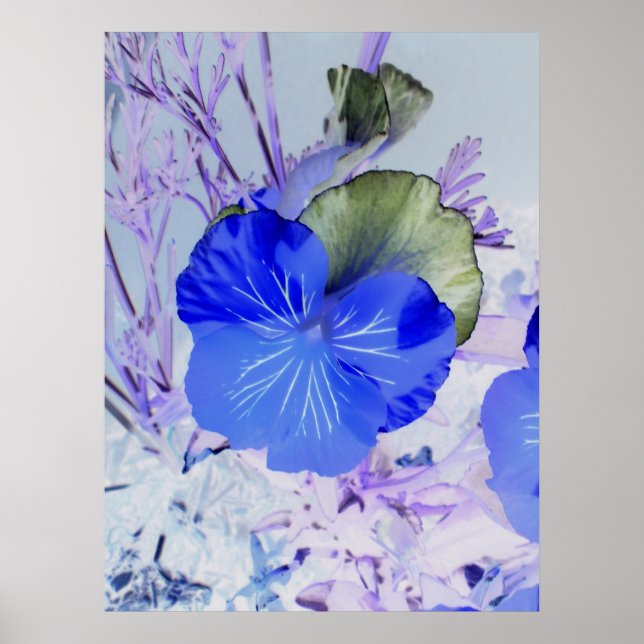 Butterfly Pansy Poster (Framsidan)