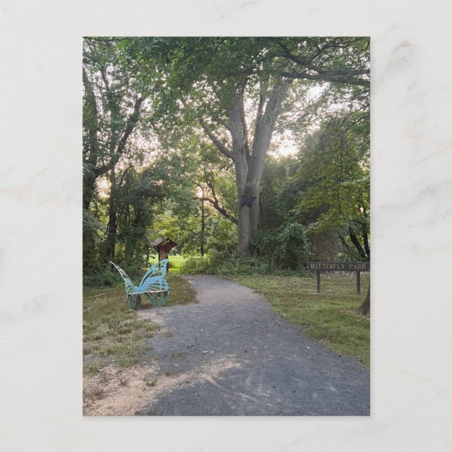 Butterfly Park 2 Vykort (Framsida)