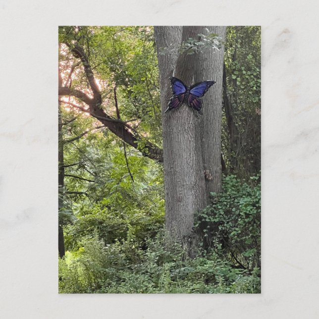 Butterfly Park Vykort (Framsida)