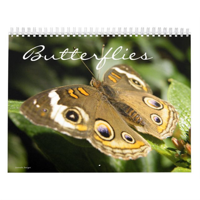 Butterfly Photo Calendar Kalender (Omslag)
